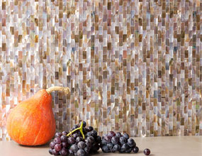 Shell Mosaic Wall Tile