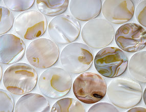 Penny Round Shell Mosaic Tile