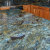 PFM Blue Labradorite Lemurian Granite Kitchen Countertops With Full Backsplash