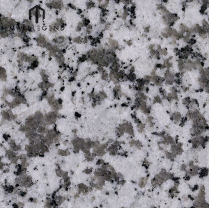 PFM Granite Slabs Chinese G655 Tong An White Granite Slabs Tiles For Project