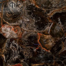 Azulejos semi preciosos retroiluminados con piedras de jaspe de piedra petrificada negro baldosas
