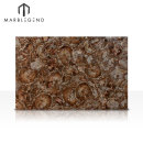 Azulejos semi preciosos de piedras preciosas con retroiluminación, baldosas de madera petrificada, baldosas de piedra preciosa
