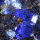 الفاخرة أعلى درجة الظلام الملكي سوداليتي حجر الكوارتز الأزرق البلاط