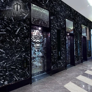 PFM Morocco Black Black Fossil Marble Slabs لتزيين الجدران والأرضيات