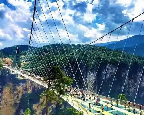 PFM Is Committed To Creating Pure Spaces