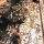 custom interior water jet black marble medallion flooring design for villa