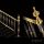 Decorative gcolor luxurious brass handrail for indoor villa