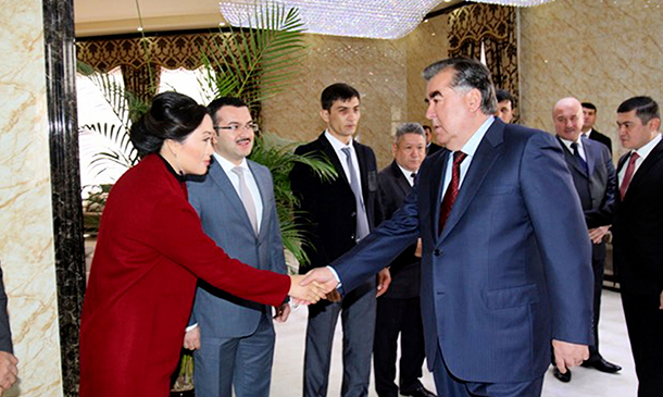 Government Project of Tajikistan