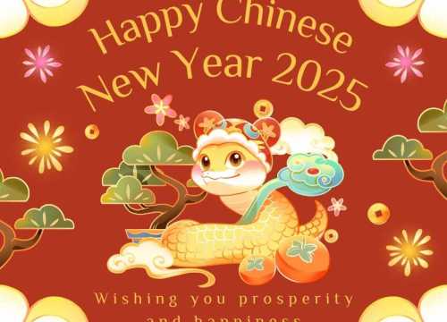 Chinese New Year Holiday Notice