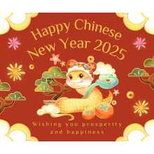 Chinese New Year Holiday Notice