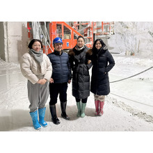 On the Challenges and Advantages of Women in the Mining Industry