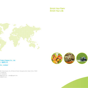 Magnesium Sulphate Catalogue