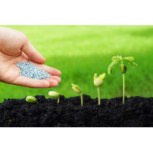 The Versatile Application of Ammonium Sulphate as Fertilizer in Modern Agriculture