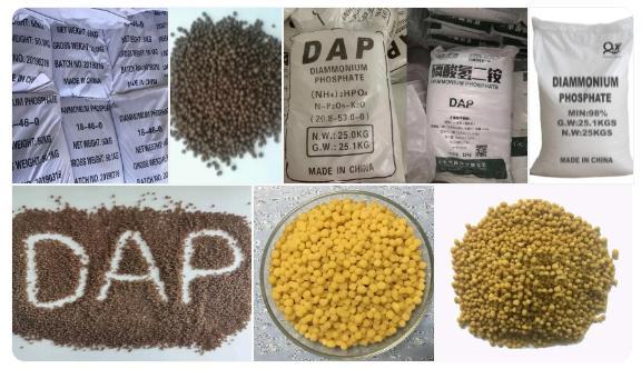 Phosphate fertilizer export quotas