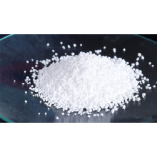 What fertilizer takes root the fastest? Rooting, bursting, crawling!BY:Jessie