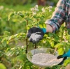 The Use of Potassium Humate from Mineral Sources BY: Lydia