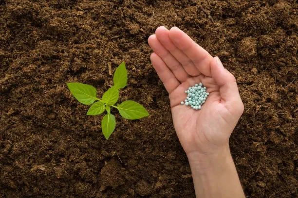 What kind of fertilizer is magnesium fertilizer? What are the magnesium fertilizers? What are the functions and effects of magnesium fertilizers? BY:Cynthia