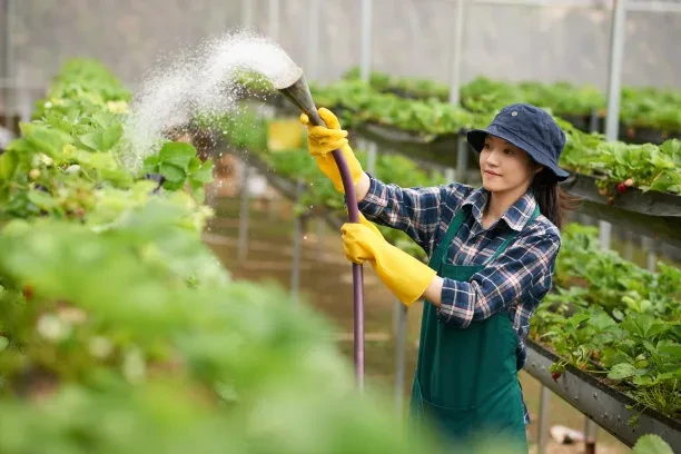 Urea fertilizer
