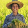 Benefits of Zinc Sulfate Fertilization By:Lina