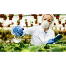 Magnesium Sulfate Heptahydrate: Boosting Crop Yield and Soil Health