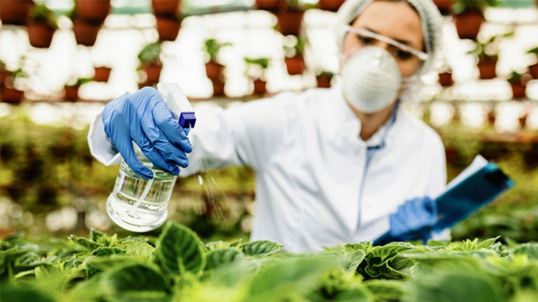 Magnesium Sulfate Heptahydrate: Boosting Crop Yield and Soil Health