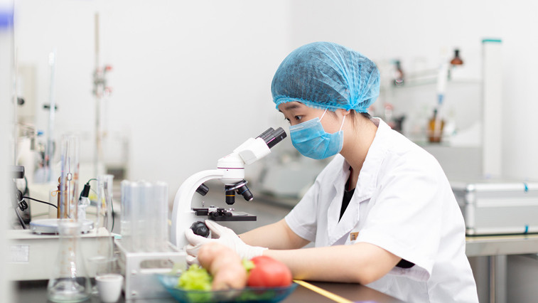 Feed Safety Regulations Elevate Standards for Feed Grade Magnesium Sulphate Quality (60字符)