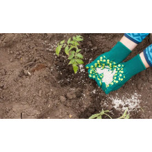 Magnesium Sulfate Heptahydrate: Boosting Crop Yield and Soil Health