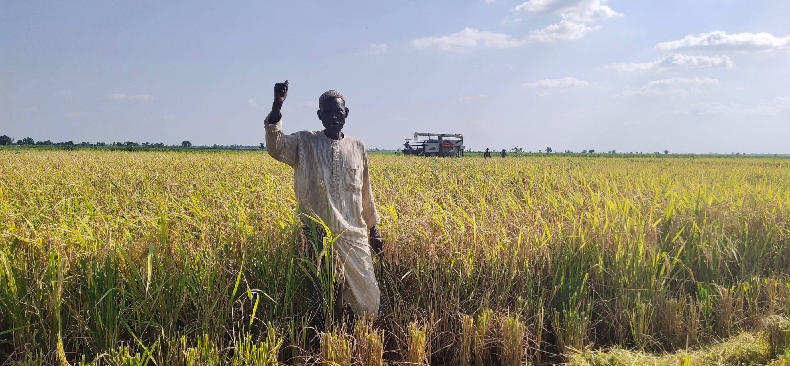 magnesium sulfate fertilizer