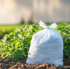 The Importance of Potassium Fertilizer in Modern Agriculture
