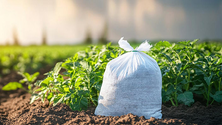 The Importance of Potassium Fertilizer in Modern Agriculture