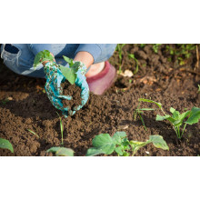 Global Demand for Magnesium Sulphate Fertilizer Rises