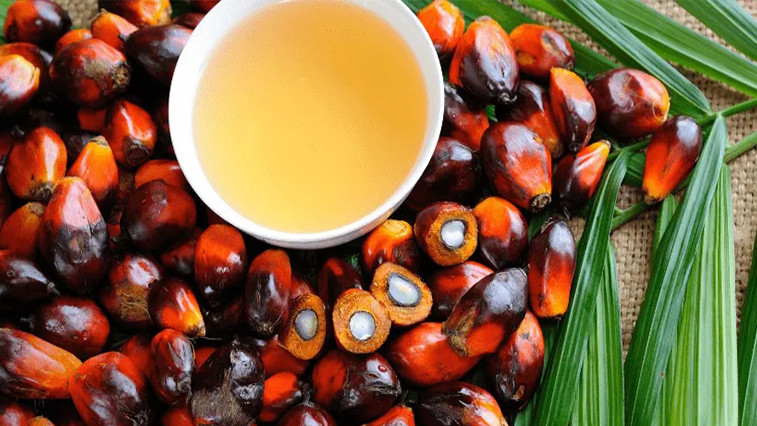 Palm Oil Expansion Drives Magnesium Sulphate Demand