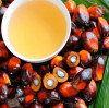 Palm Oil Expansion Drives Magnesium Sulphate Demand