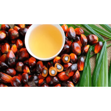 Palm Oil Expansion Drives Magnesium Sulphate Demand