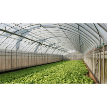 Spain Greenhouse Demand Boosts Magnesium Sulphate
