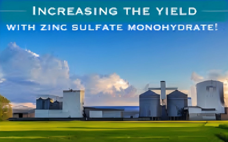 Zinc Sulfate Monohydrate is Boosting Global Fertilizer Demand   BY:Stella