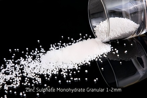 zinc sulfate monohydrate