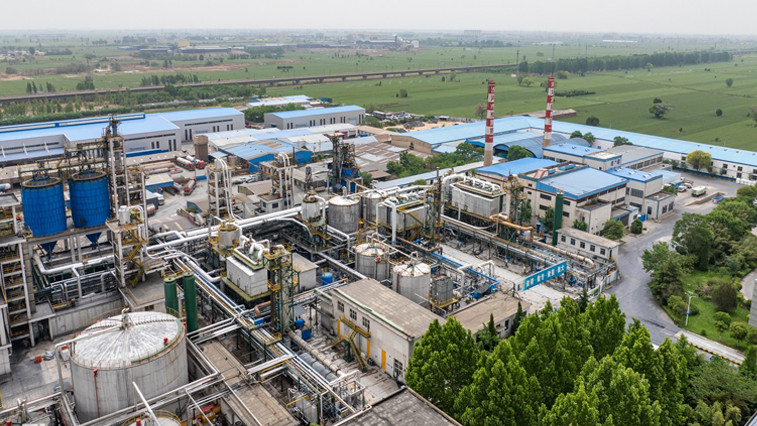 China Magnesium Sulfate Export Dynamics Amid Fertilizer Curbs