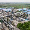 China Magnesium Sulfate Export Dynamics Amid Fertilizer Curbs