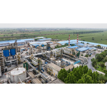 China Magnesium Sulfate Export Dynamics Amid Fertilizer Curbs