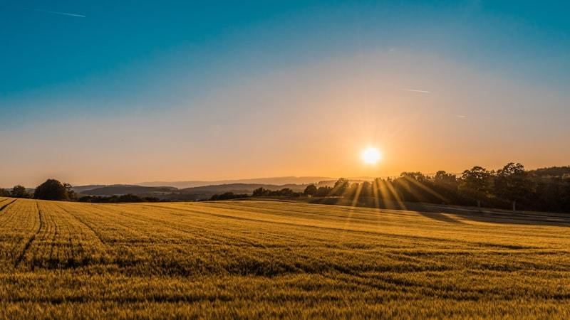 Vast agricultural farmland in early spring planting season