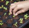 Digital Agriculture Platforms Transforming Farming 2026