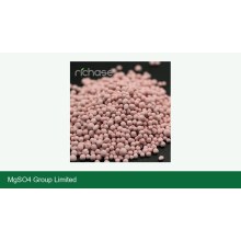 MgSO4 Export Price Trend Early 2026