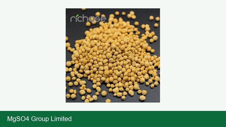 Correct Magnesium Deficiency in Corn