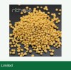 Correct Magnesium Deficiency in Corn
