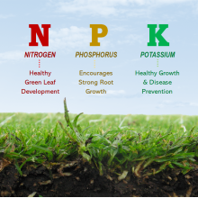 When buying fertilizers, 