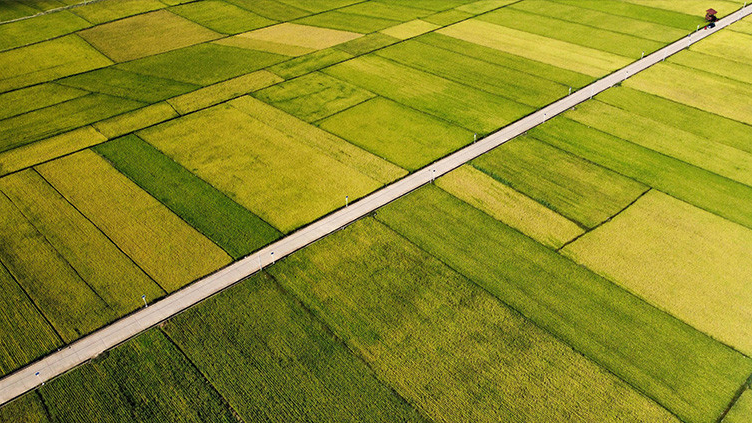 EU Green Deal Favors Calcium Ammonium Nitrate Fertilizer Use