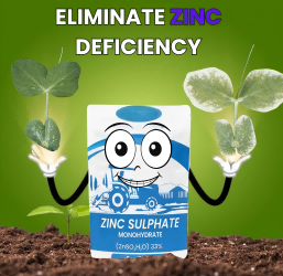 zinc sulfate monohydrate granules