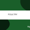 Global Magnesium Sulfate Market Update June 2026
