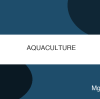 Global Aquaculture Production Reaches Record 130M Tonnes